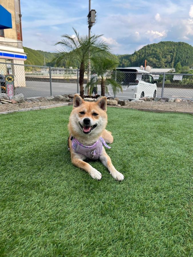 芝生の庭でくつろぐ愛犬