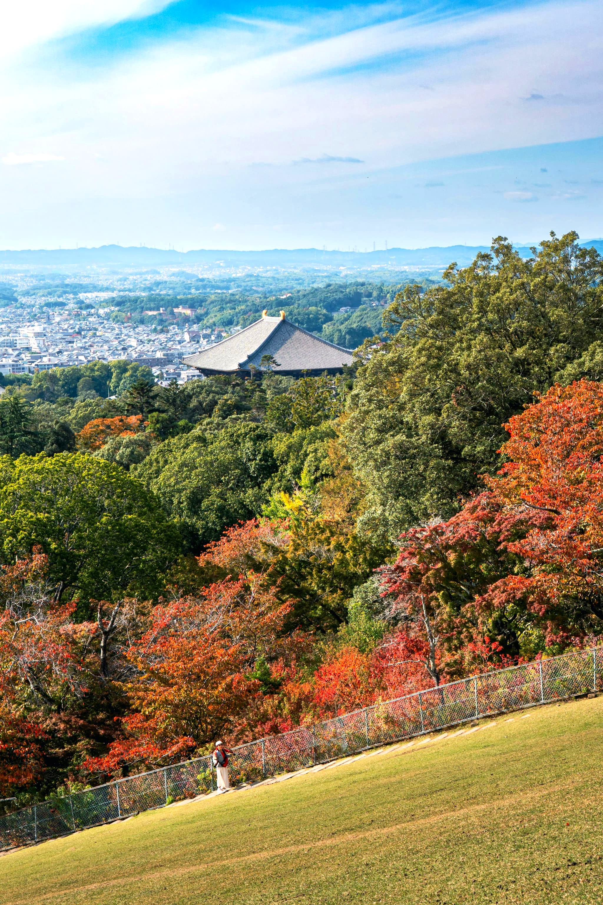 吉野の紅葉