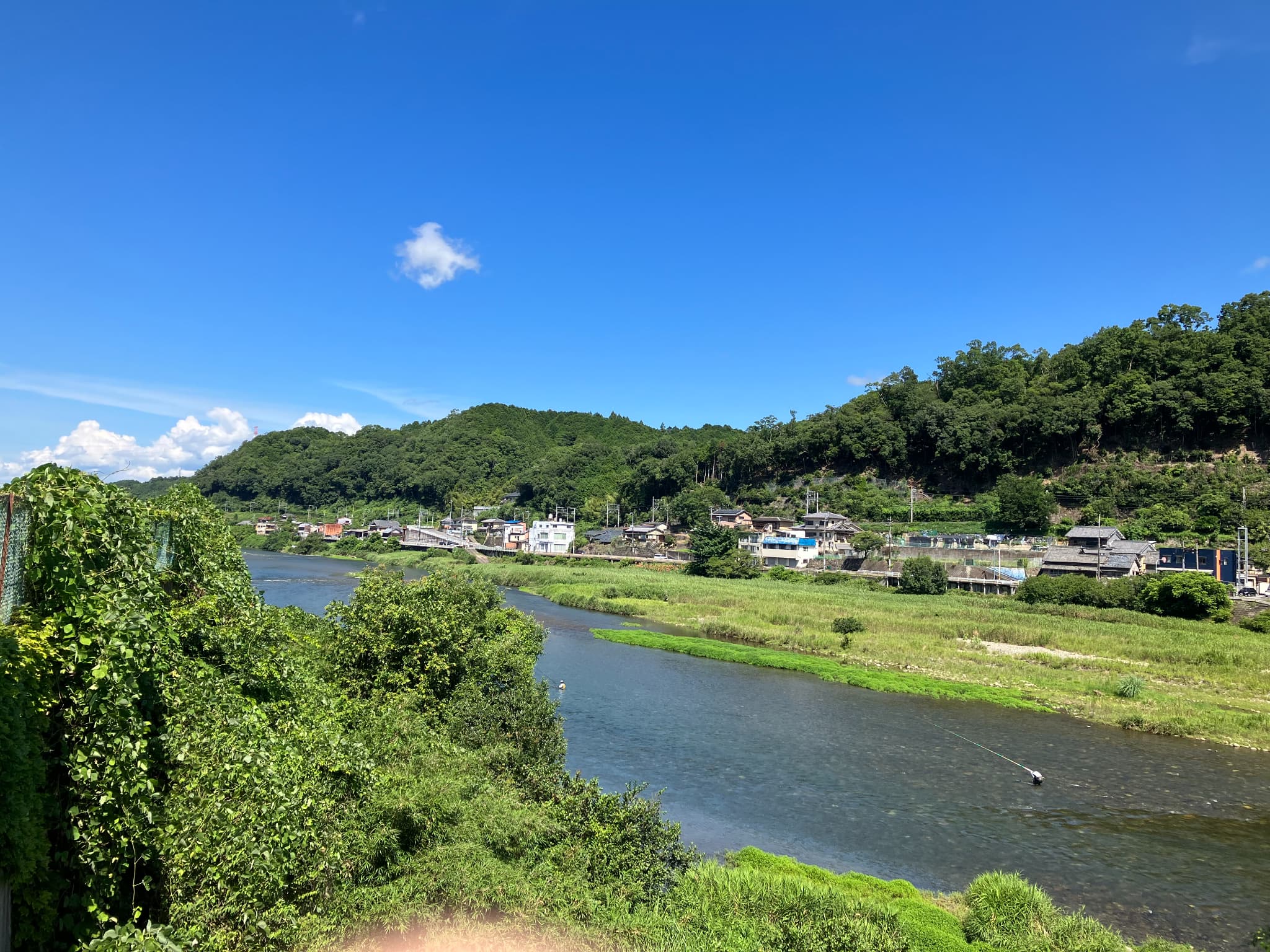 新緑の山の写真