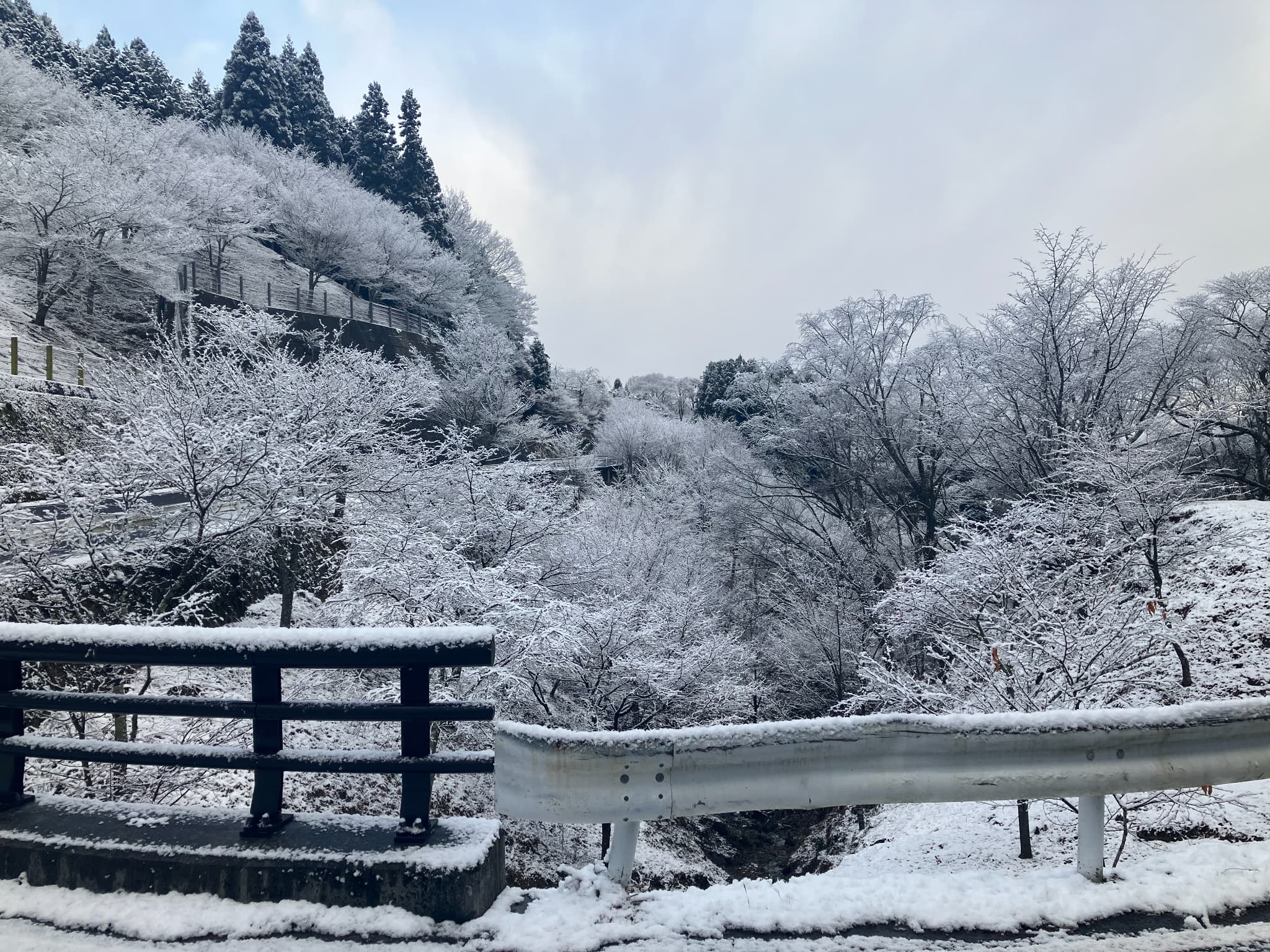 山の雪景色の写真